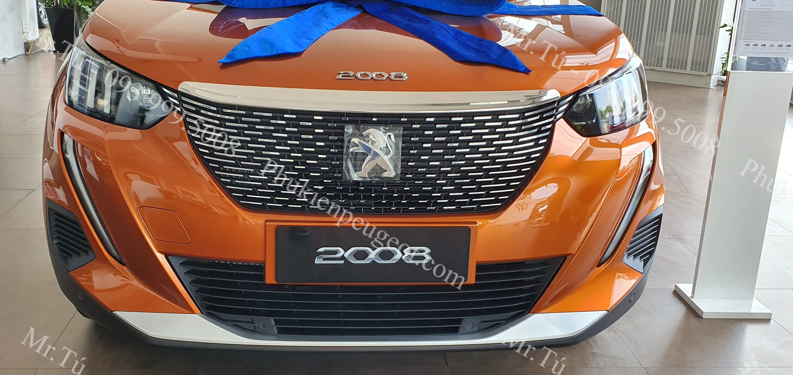 OP-CAPO-PEUGEOT-2008 (13)